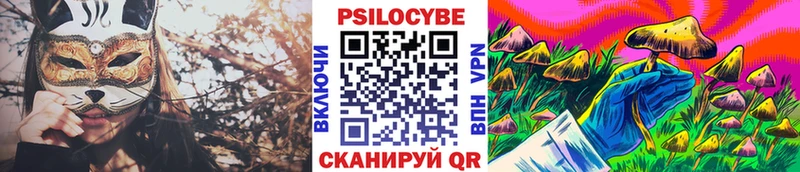 MEGA онион  сколько стоит  Обнинск  Псилоцибиновые грибы Cubensis 