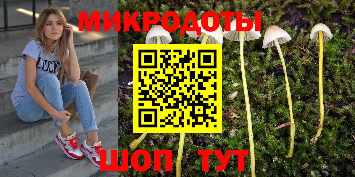 Обнинск  Галлюциногенные грибы Psilocybe  Псилоцибиновые грибы Psilocybine cubensis  Вход с VPN 